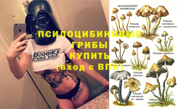круглые Саяногорск