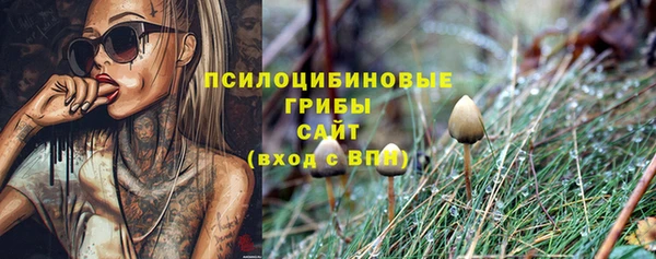 мяу мяу мука Рославль