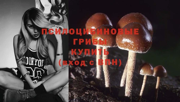 Альфа ПВП Сатка
